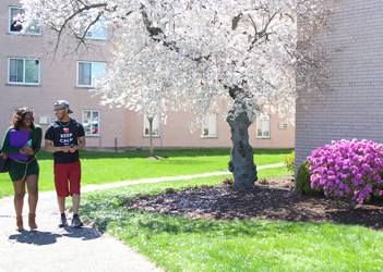 UB students walking on campus