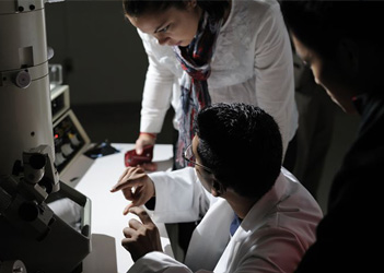 UB students working on research