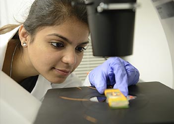 UB students performing research with a microscope