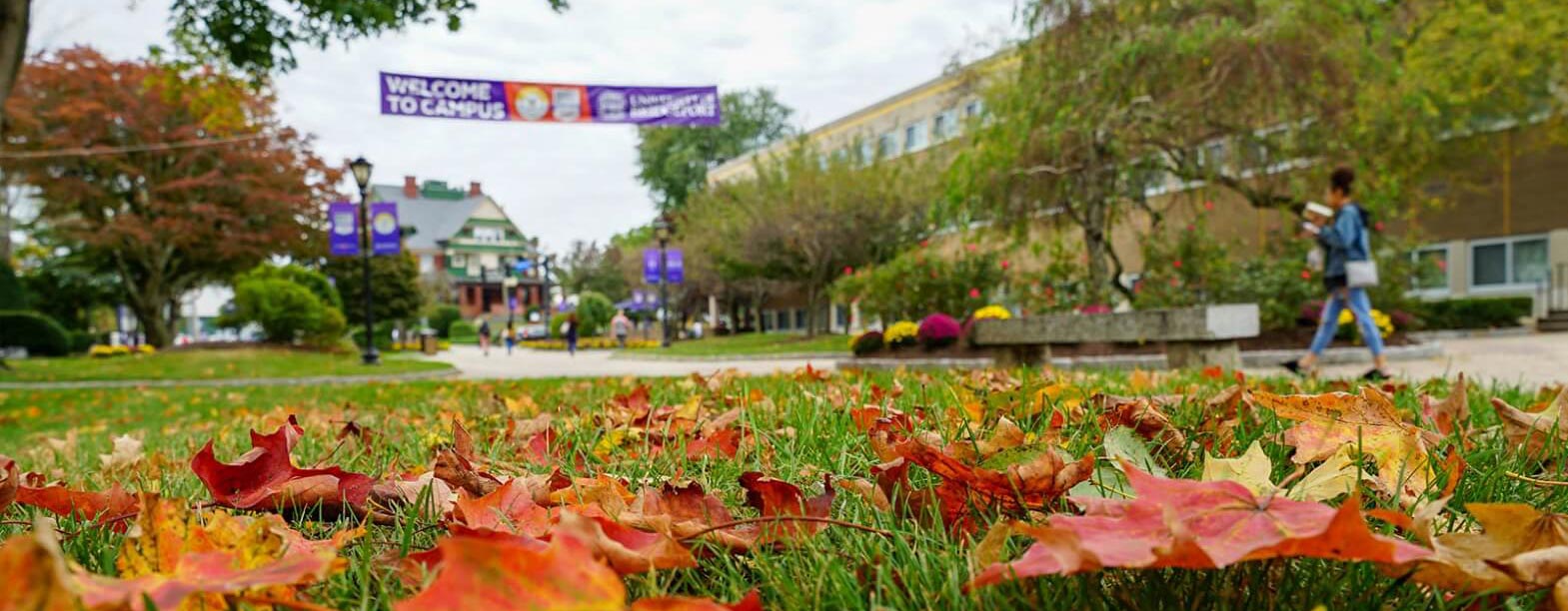 University of Bridgeport campus with leaves on the ground