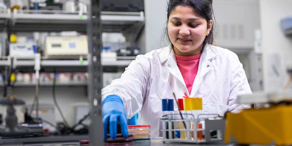 A bachelor’s in biology degree and concentrations student looking into a microscope