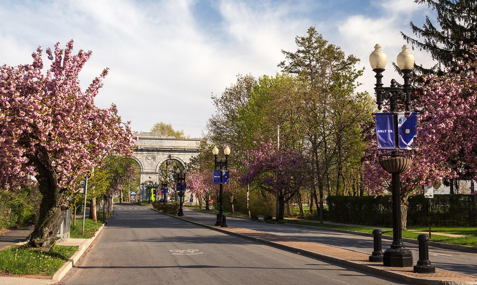 Street view of the University of Bridgeport