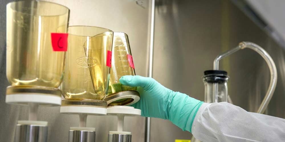 Pre-Professional Health Sciences concentration