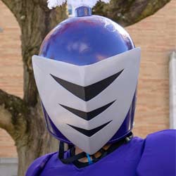 Headshot of the Purple Knight