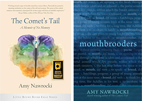 Amy Nawrocki's publications