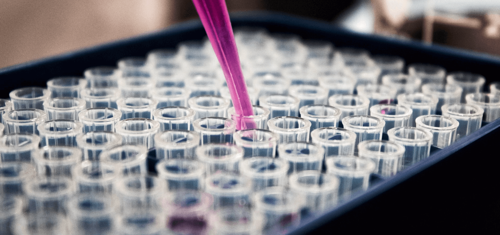 What Do Medical Laboratory Scientists Do? University of Bridgeport