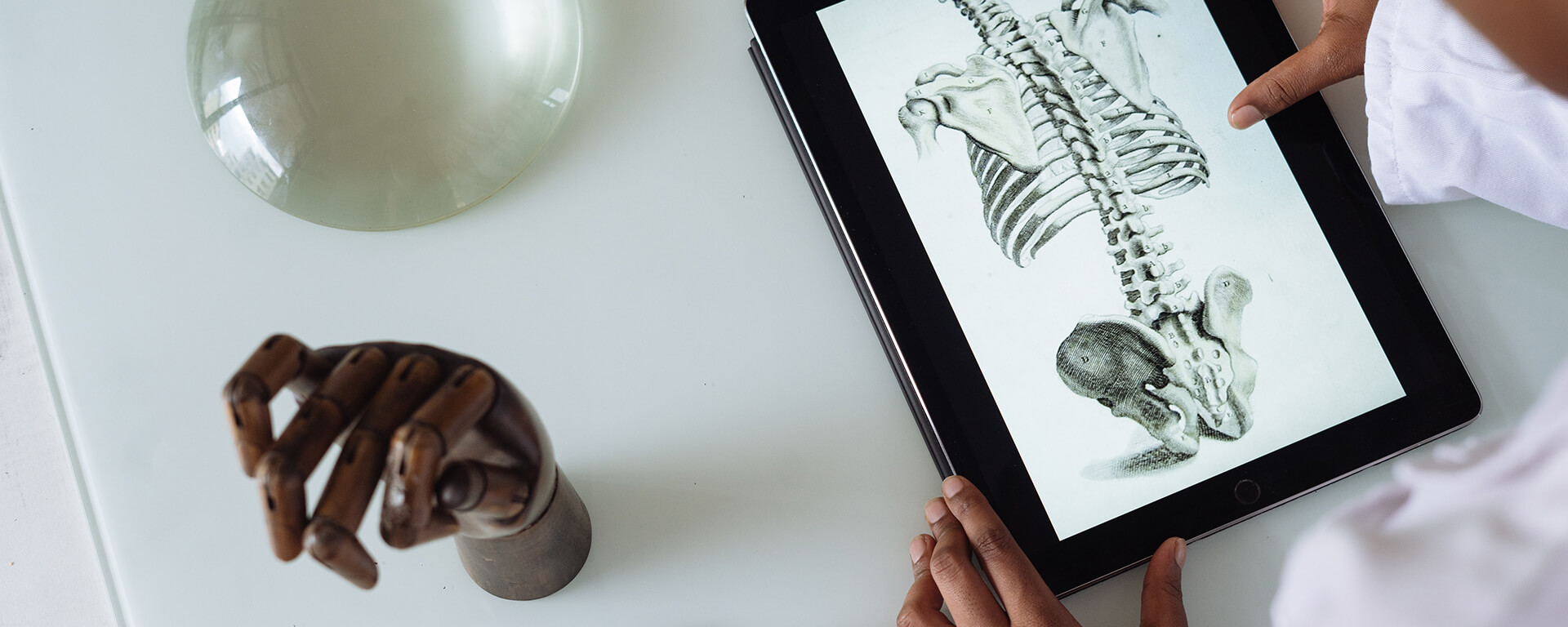 How Long Does it Take to Become a Chiropractor? | University of Bridgeport