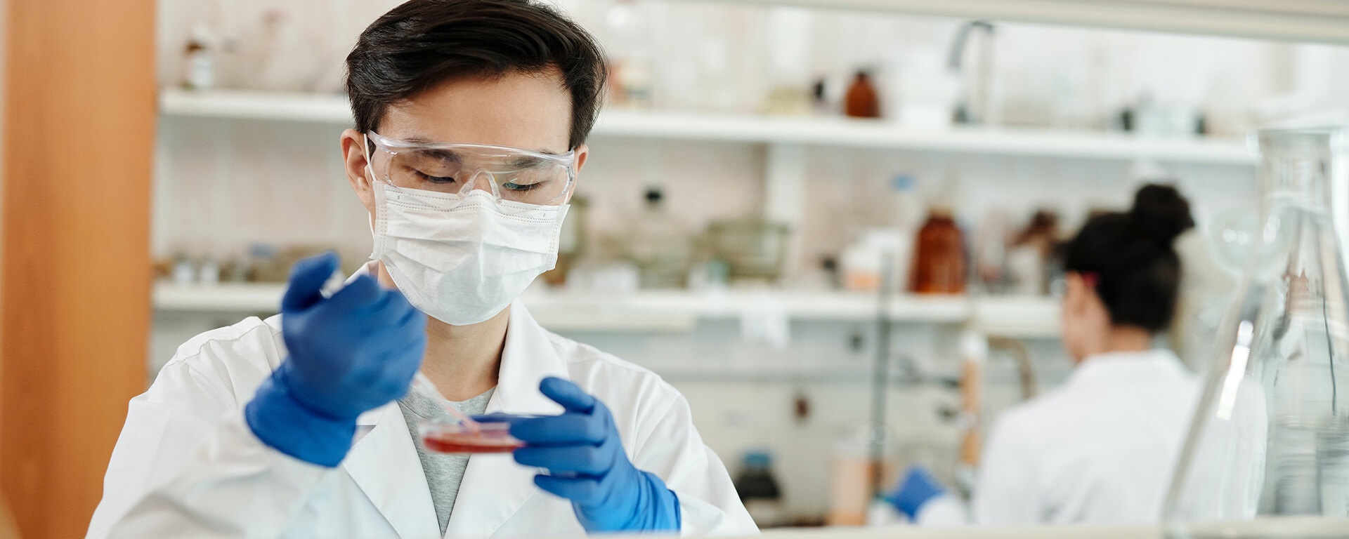 What Can You Do With a Medical Lab Science Degree? | University of  Bridgeport