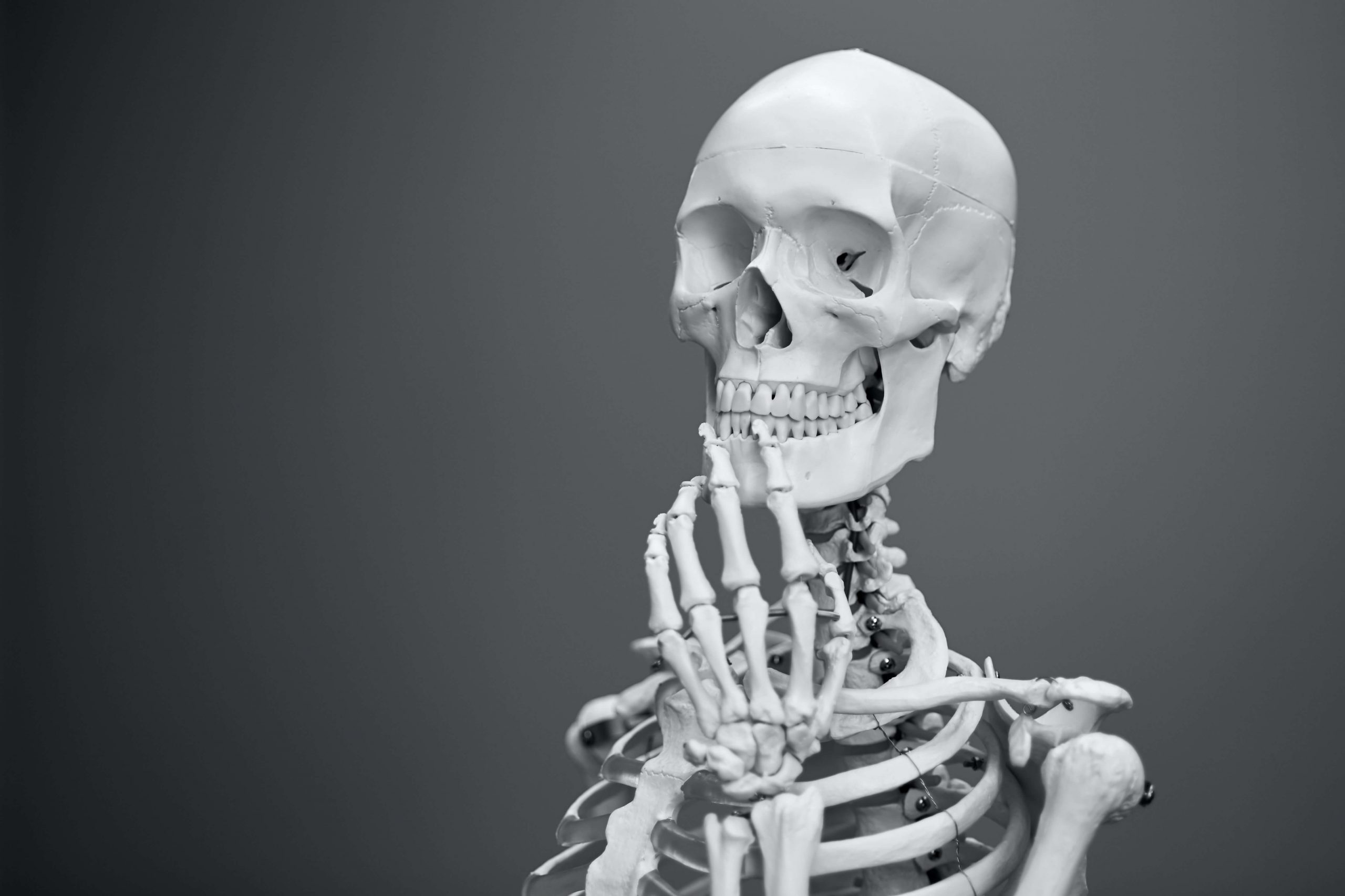 Are Chiropractors Doctors? | University of Bridgeport