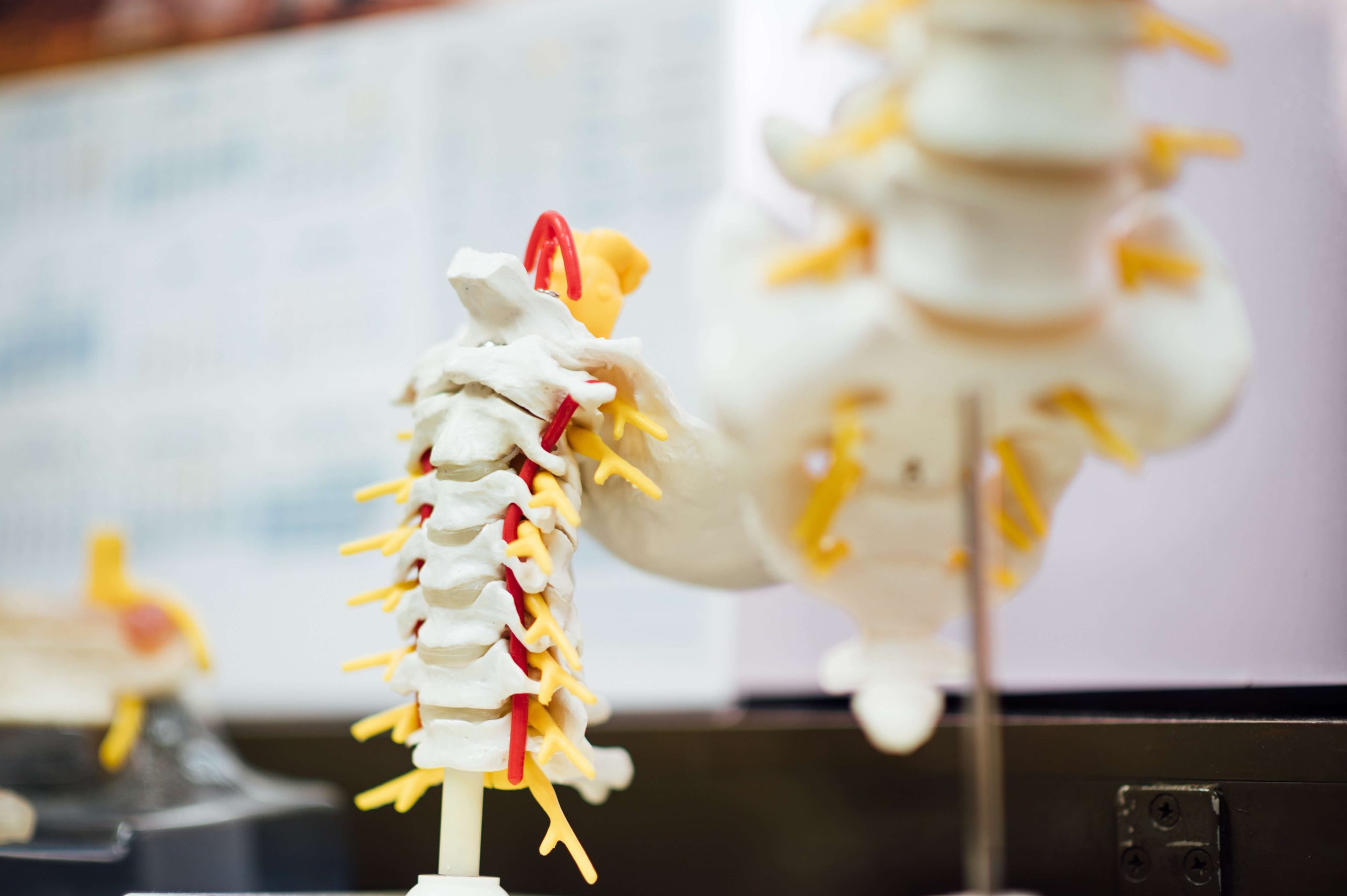 Is chiropractic school harder than medical school?